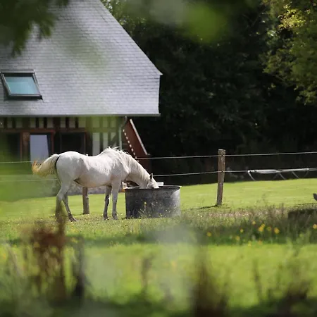 La Pomme D'amour Bed & Breakfast