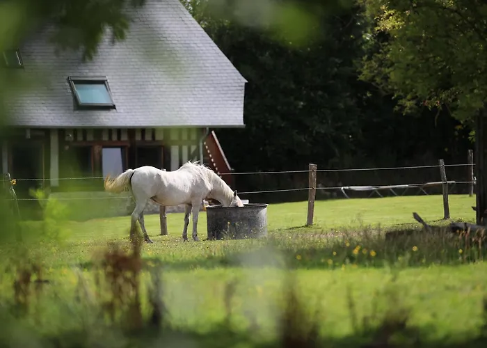 La Pomme D'amour Bed and breakfast